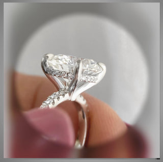 On Sale *** 3.60 Carat Brilliant Cut Round Diamond Solitaire Engagement Ring  ***By Chelsea Leigh & Company