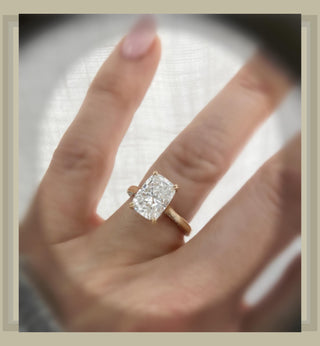 3.60 Carat Cushion Cut Diamond  Flat Solitaire Engagement Ring with Hidden Pave Sides  & Underhalo *** By Chelsea Leigh and Company